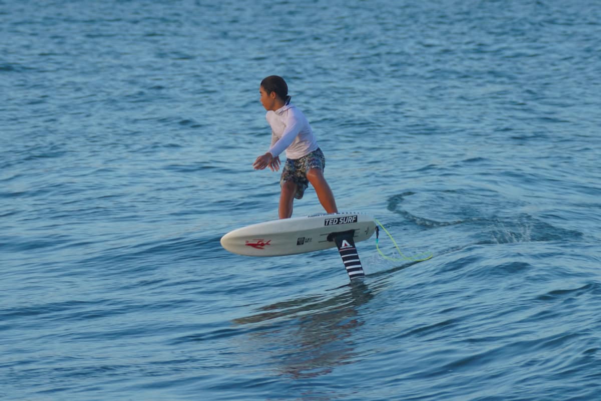 FOIL｜PRONE・WING・DW（SUP）｜TED OCEAN SPORTS（TED SURF）