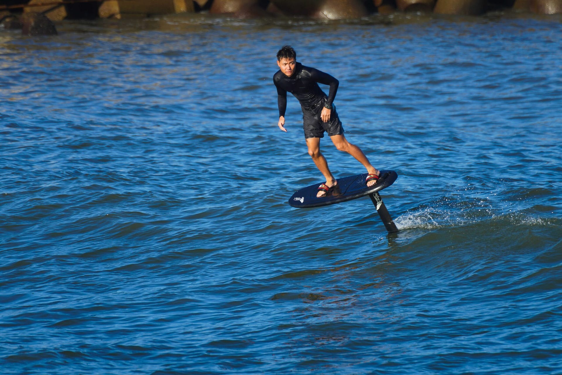 FOIL｜PRONE・WING・DW（SUP）｜TED OCEAN SPORTS（TED SURF）